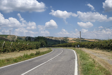 Fototapeta na wymiar Summer landscape in Romagna (Italy)