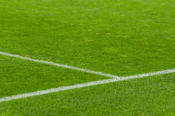 Soccer field white line.