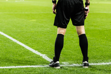 Football referee on the field