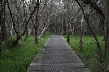 Boardwalk