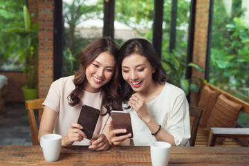 Two young business women sitting at table in cafe. Girl shows her friend image on screen of smartphone