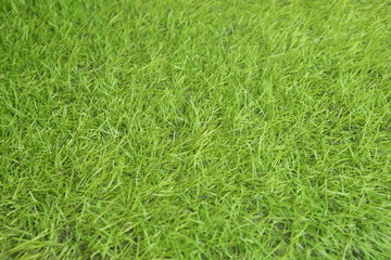 texture fake grass for background
