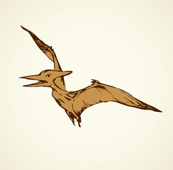 Fototapeta premium Pterodactyl. Vector drawing