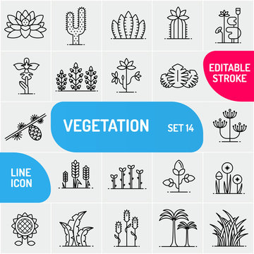 Vegetation line icons. Large icons set of flowers and plants. Can use for biology templates. Vector illustration.
