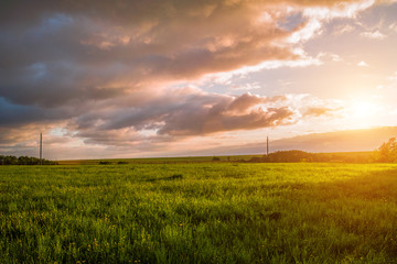 Fototapeta na wymiar Beautiful sunset meadow landscape