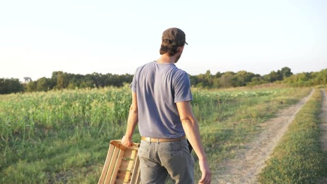 Young farmer going on the field with empty wooden box for harvesting corn crop.