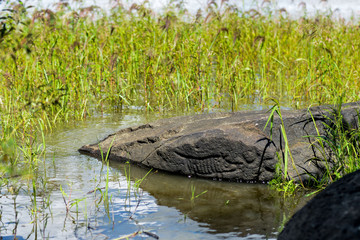 Ancient Petroglyph is located in the Sikhote-Alin , Khabarovsk, Russia