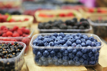 Assortment of fresh berries at market