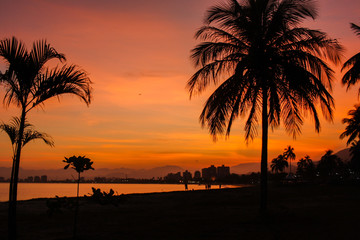 Fototapeta na wymiar Sunset on the beach and the palm trees