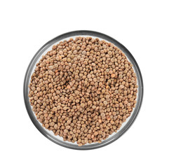 Bowl with healthy lentils, isolated on white