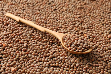 Spoon with healthy lentils, closeup