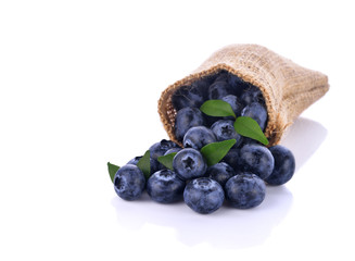 blueberries isolated