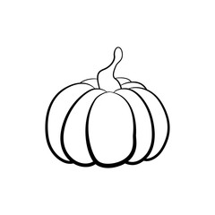Vector outline illustration of a pumpkin on a white background