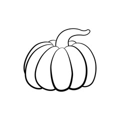 Vector outline illustration of a pumpkin on a white background