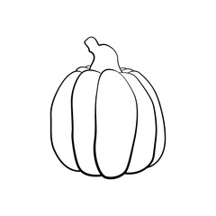 Vector outline illustration of a pumpkin on a white background