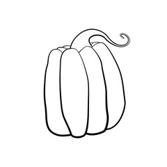 Vector outline illustration of a pumpkin on a white background