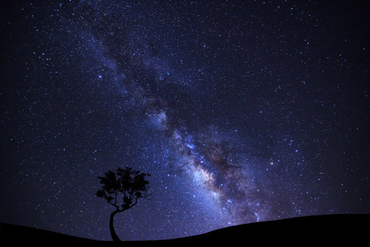 Landscape silhouette of tree with milky way galaxy and space dust in the universe, Night starry sky with stars