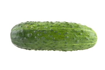 fresh cucumber isolated on white background