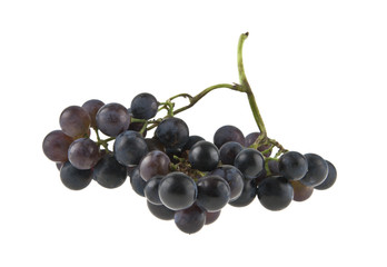 blue grapes isolated on white background