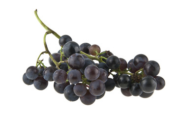 blue grapes isolated on white background