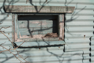 nesting