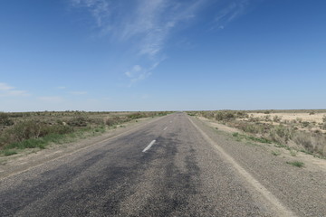 Naklejka premium Desert road