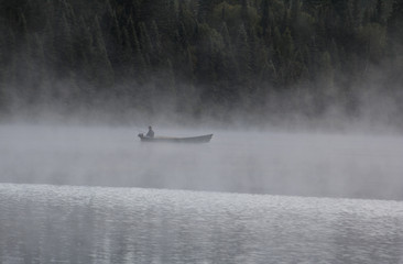 Brume