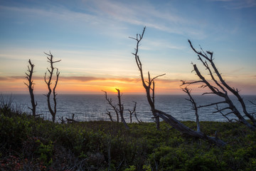 Beautiful landscape view on the ocean during a vibrant sunset. Taken in Oregon Coast near Pacific City, United States of America.
