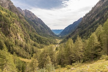 Fototapeta premium Göriachtal im Lungau mit Blick auf die Berge, Österreich