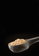 Yellow mustard on wooden spoon - Sinapis alba
