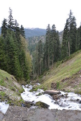 Obraz premium Mountain river