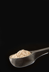 White Quinoa Seeds - Chenopodium quinoa