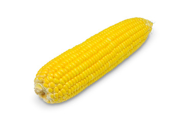 Sweet corn on white