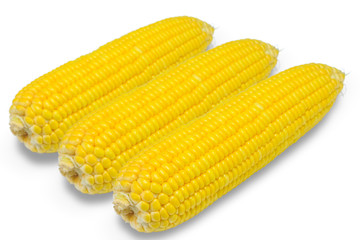 Sweet corn on white