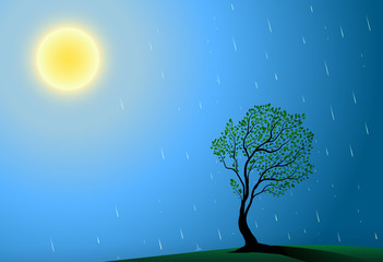 sun, tree and rain, summer warm rain, the best place to grow trees, big sun rain drops and green tree,