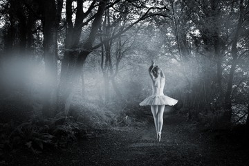 Composite image of ballerina standing en pointe
