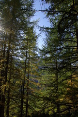 ツェルマット　トレッキング