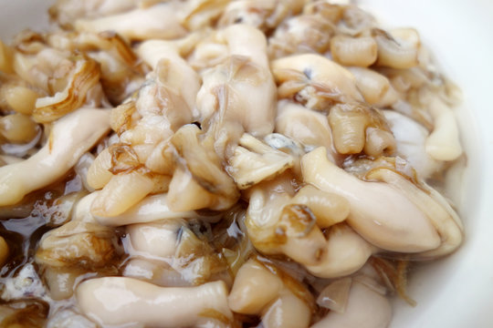 clam