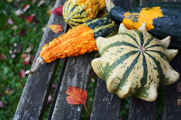 Four ornamental gourds with bright colours on a rustic bench