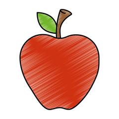 apple fruit isolated icon