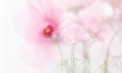 single dreamy surreal pink flower 