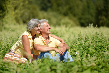 Fototapeta premium couple sitting in the park