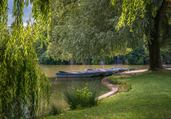 Parc Orangerie Strasbourg, see, bot, Park