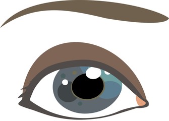 Human eye illustration