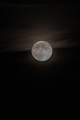 mond