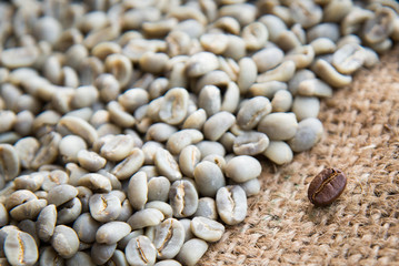 coffee beans background group of green and roasted arabica coffee beans concept of coffee state and agriculture