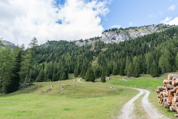 Fototapeta na wymiar Riedingtal im Lungau mit Blick auf die Berge, Österreich