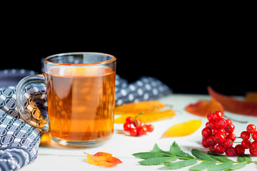 Cup of tea, autumn leaves, scarf and rowan berries on a white wooden background. Black backdrop.