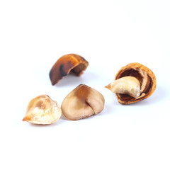 Chestnuts food from rain forest