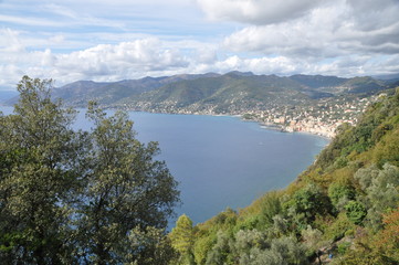 Fototapeta na wymiar Camogli and the Paradise Gulf seen from San Rocco, Liguria, Italy